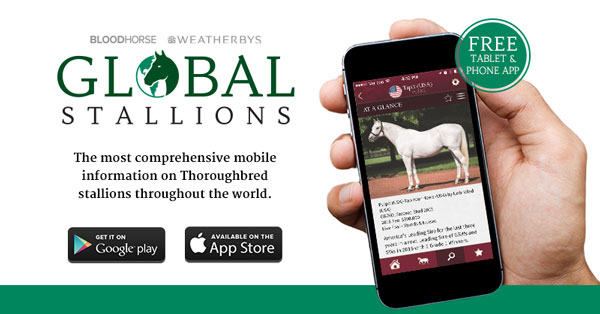 Global Stallions App