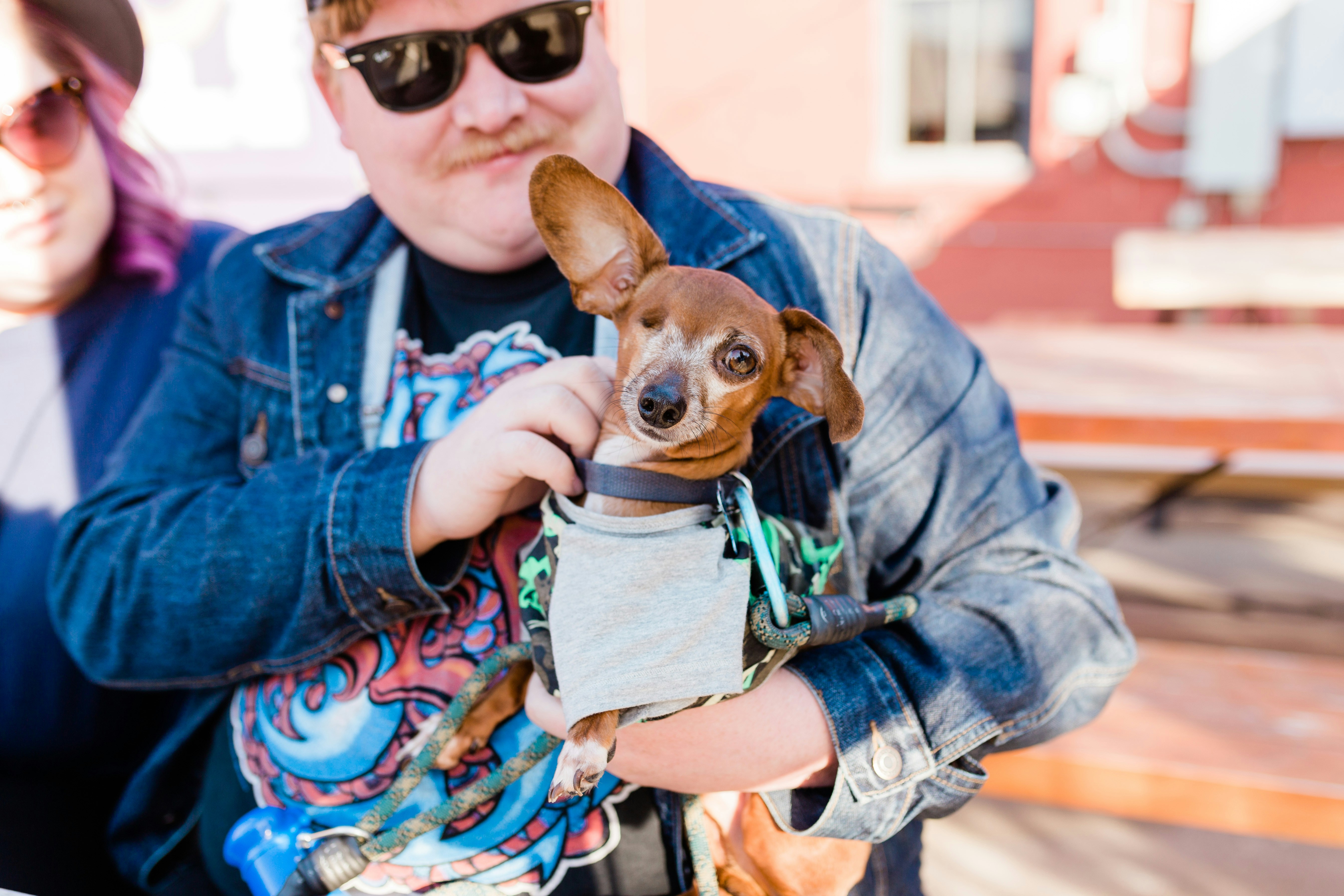 Leading online fundraising tools for animal rescue nonprofits