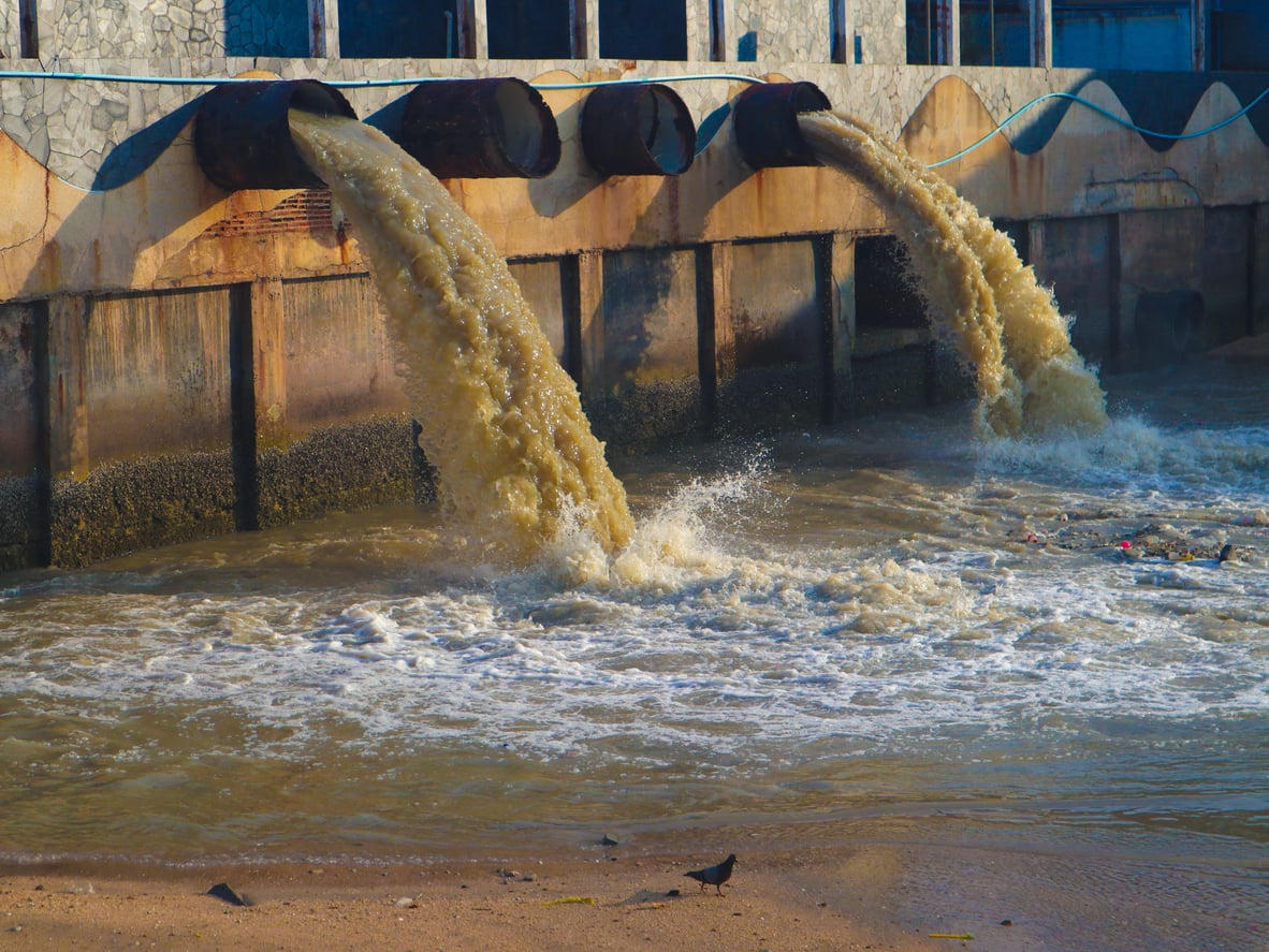 Guess We Better Talk About That "Deloitte is Dumping Chemicals in the River" Gaffe - Going Concern