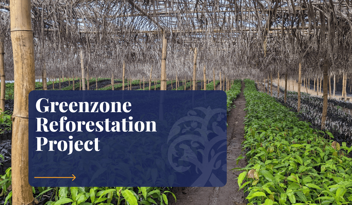 Green Earth | Greenzone Reforestation project, Cameroon
