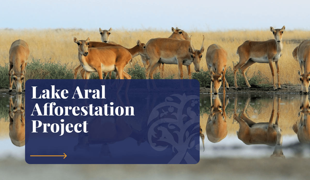 Green Earth | Lake Aral Afforestation Project, Kazakhstan