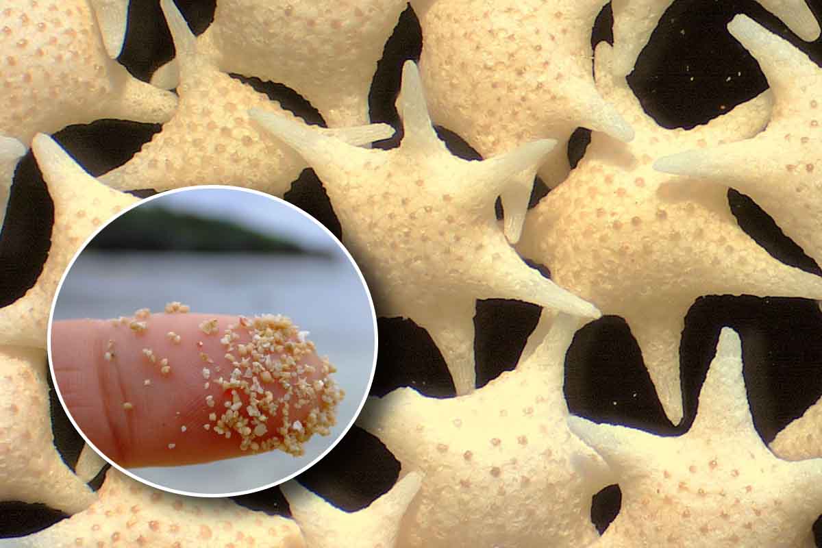 The wonder of Japan’s star-shaped sand beaches - greenMe