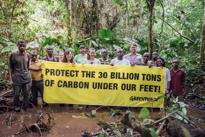 European Union must demand the cancellation of the Cuvette Centrale oil blocks - Greenpeace Africa
