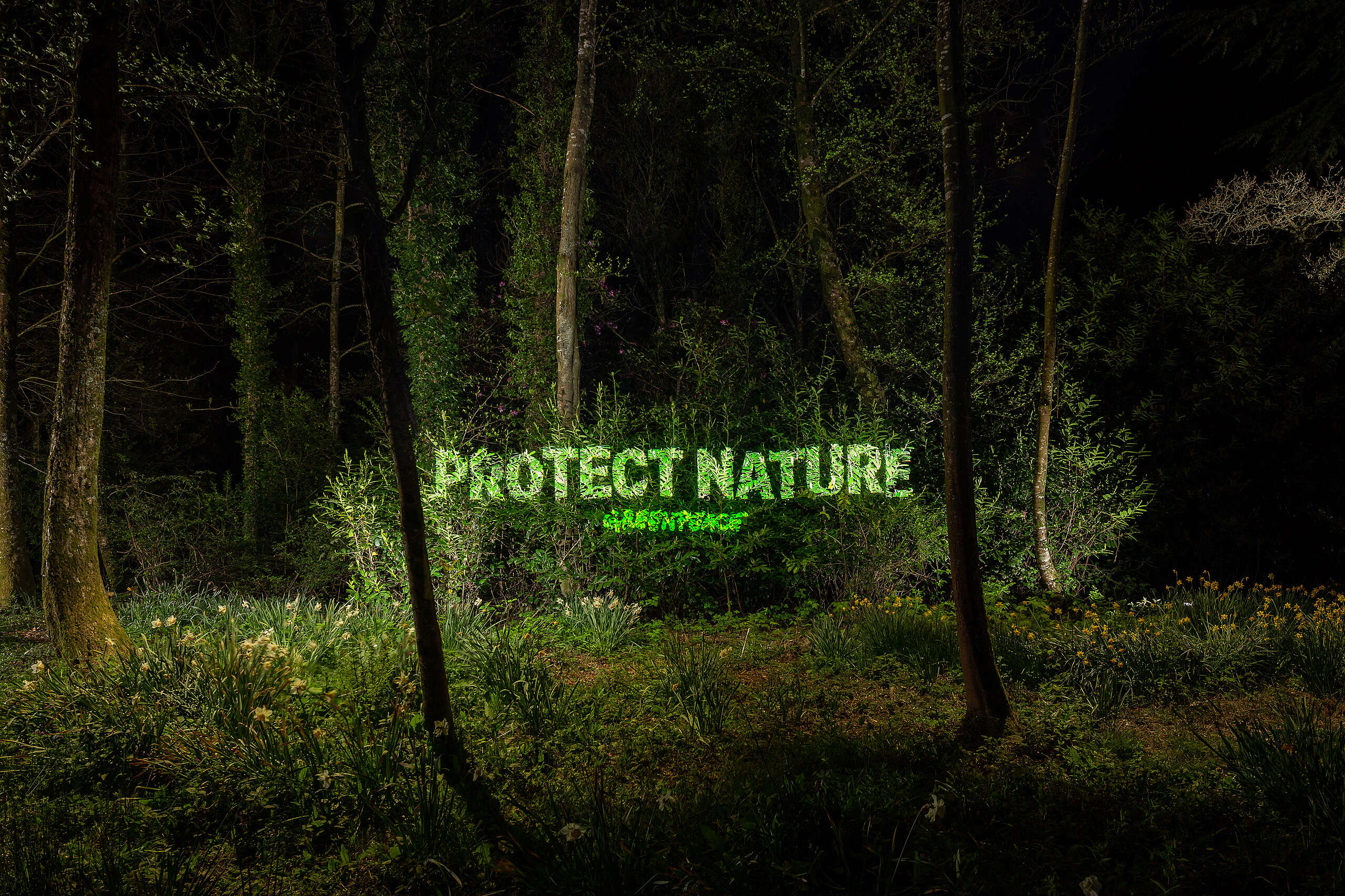 News & Stories - Greenpeace Aotearoa