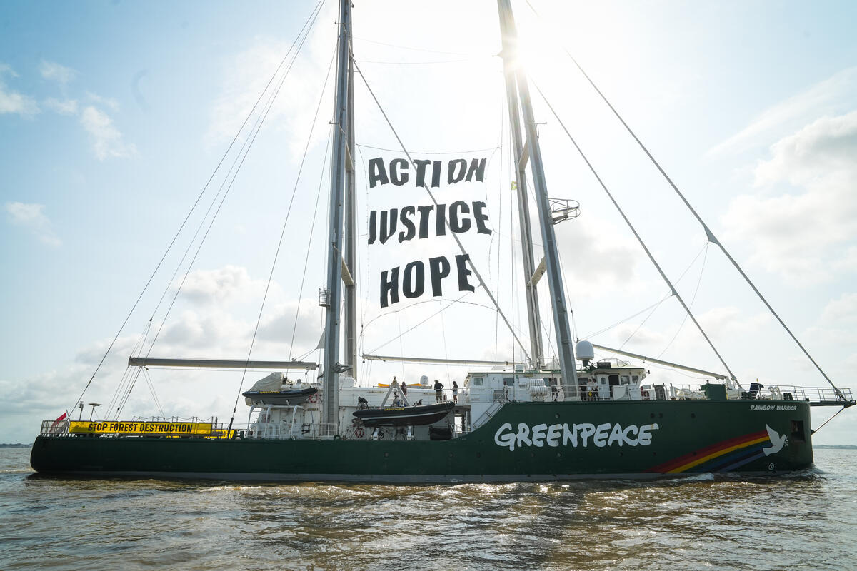 2025: A year of wins, action and resistance - Greenpeace Aotearoa