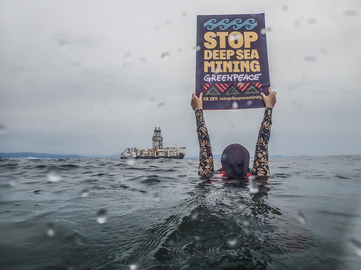 Double victory: deep sea mining plans halted in the Arctic and Pacific - Greenpeace Canada