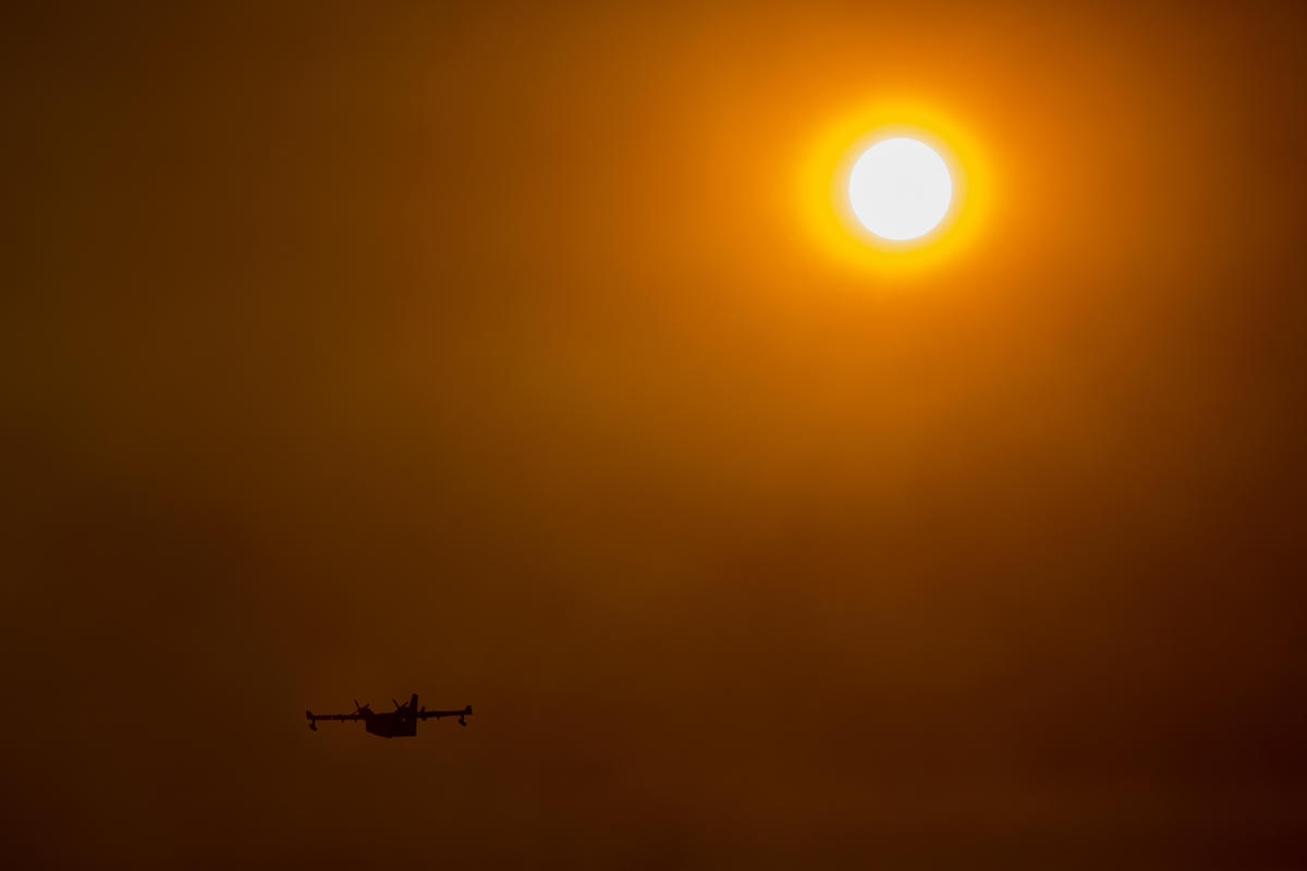 Global heat waves are fossil fuel-driven climate chaos - Greenpeace International