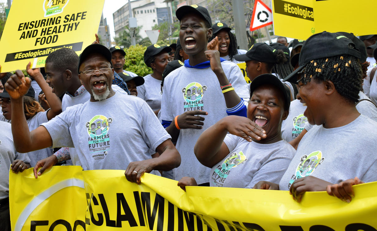 Hope comes alive when we take action - 8 Good News stories 2025 - Greenpeace International