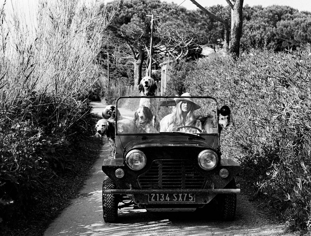 Brigitte Bardot dies but her legacy of animal rights lives on - Green Prophet
