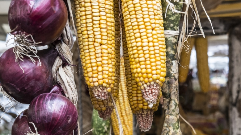Everyday Food That Once Looked Totally Different