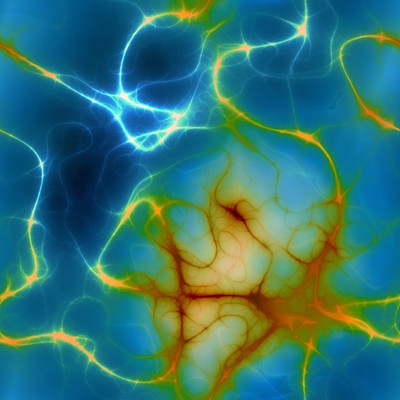 REACH to Rewire your Brain - Happy Brain Science