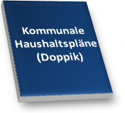 HaushaltsSteuerung.de :: Kommunale Haushaltspläne (Doppik)