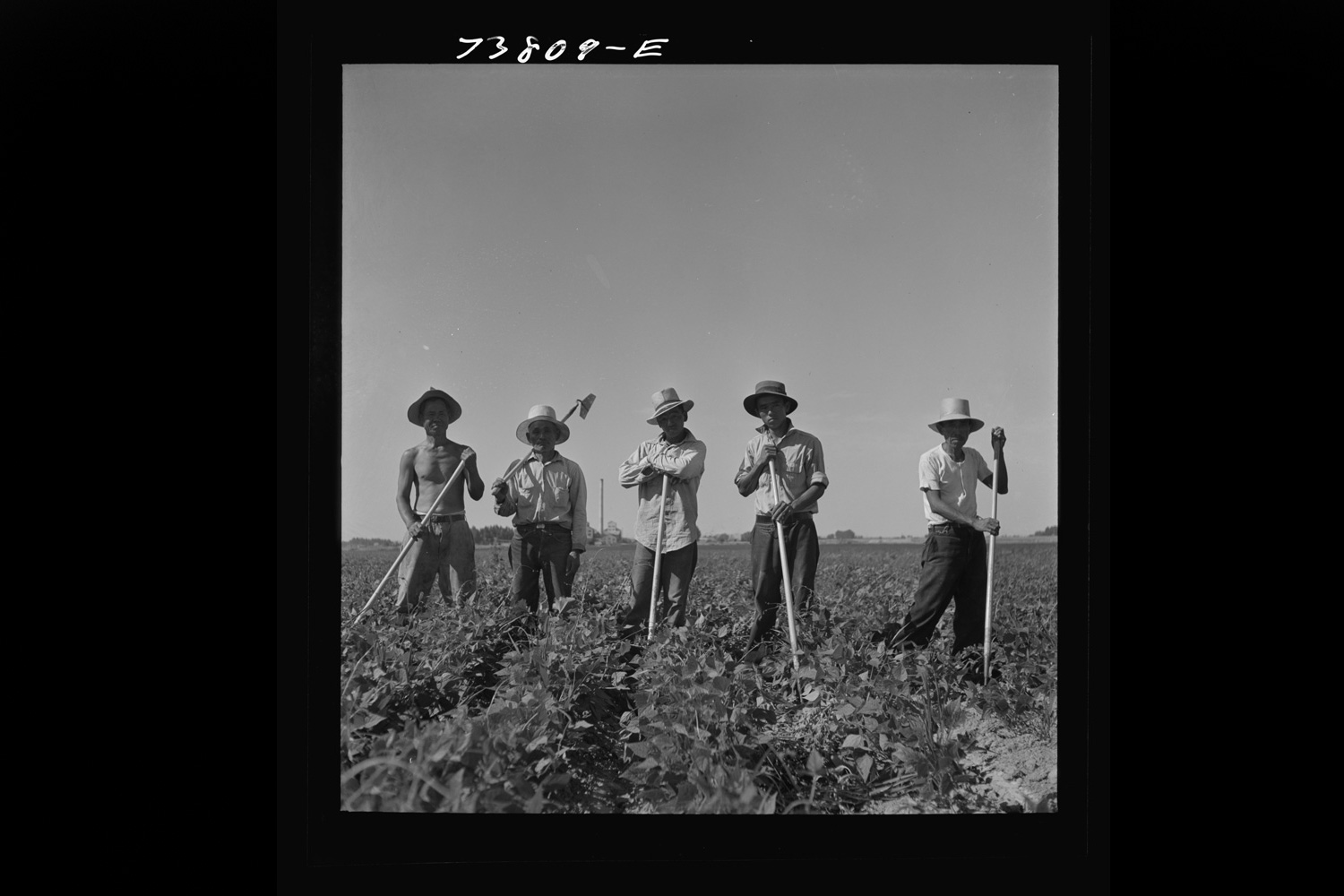 How right-wing emigrants conquered North Idaho - High Country News