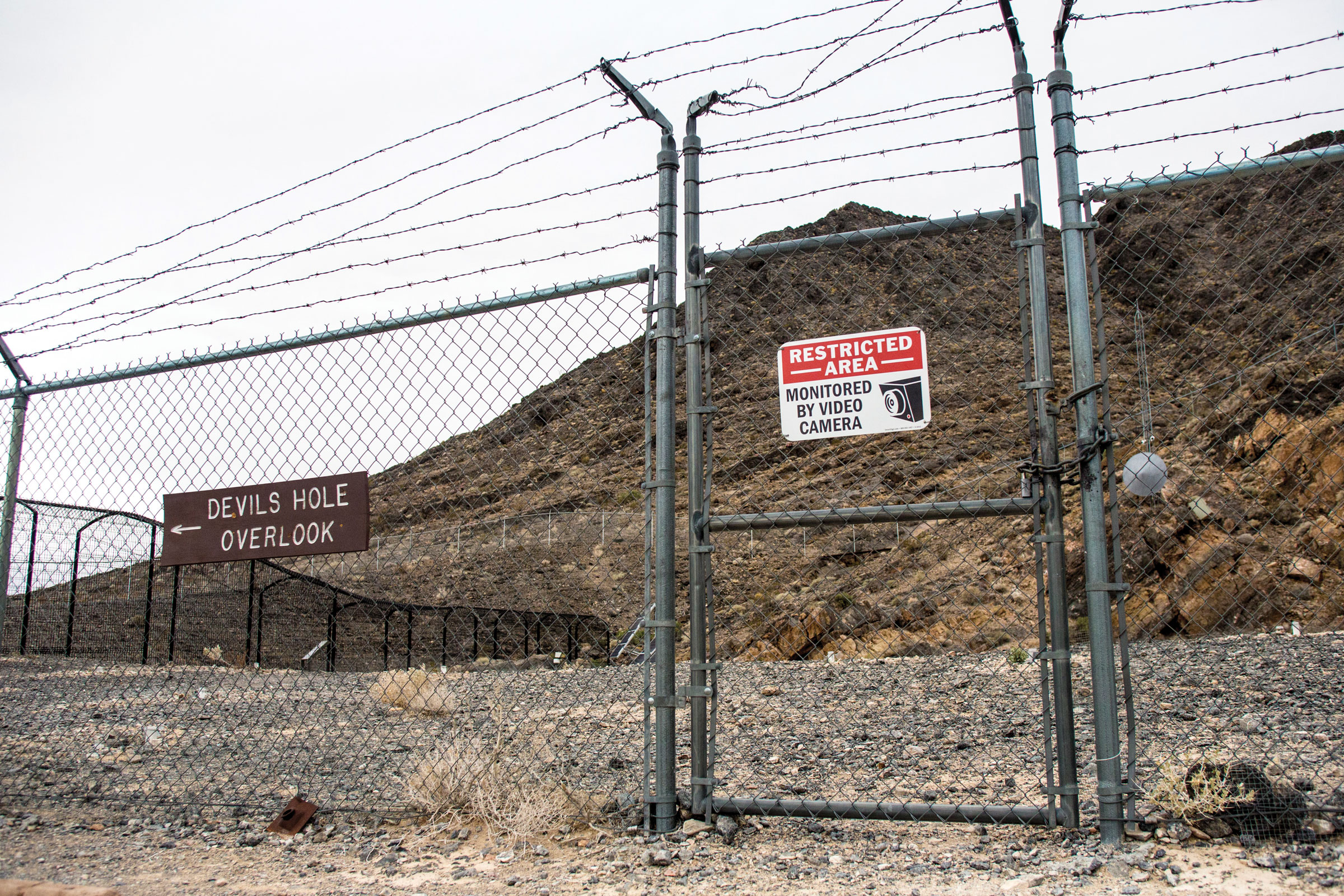 How a tiny endangered species put a man in prison - High Country News