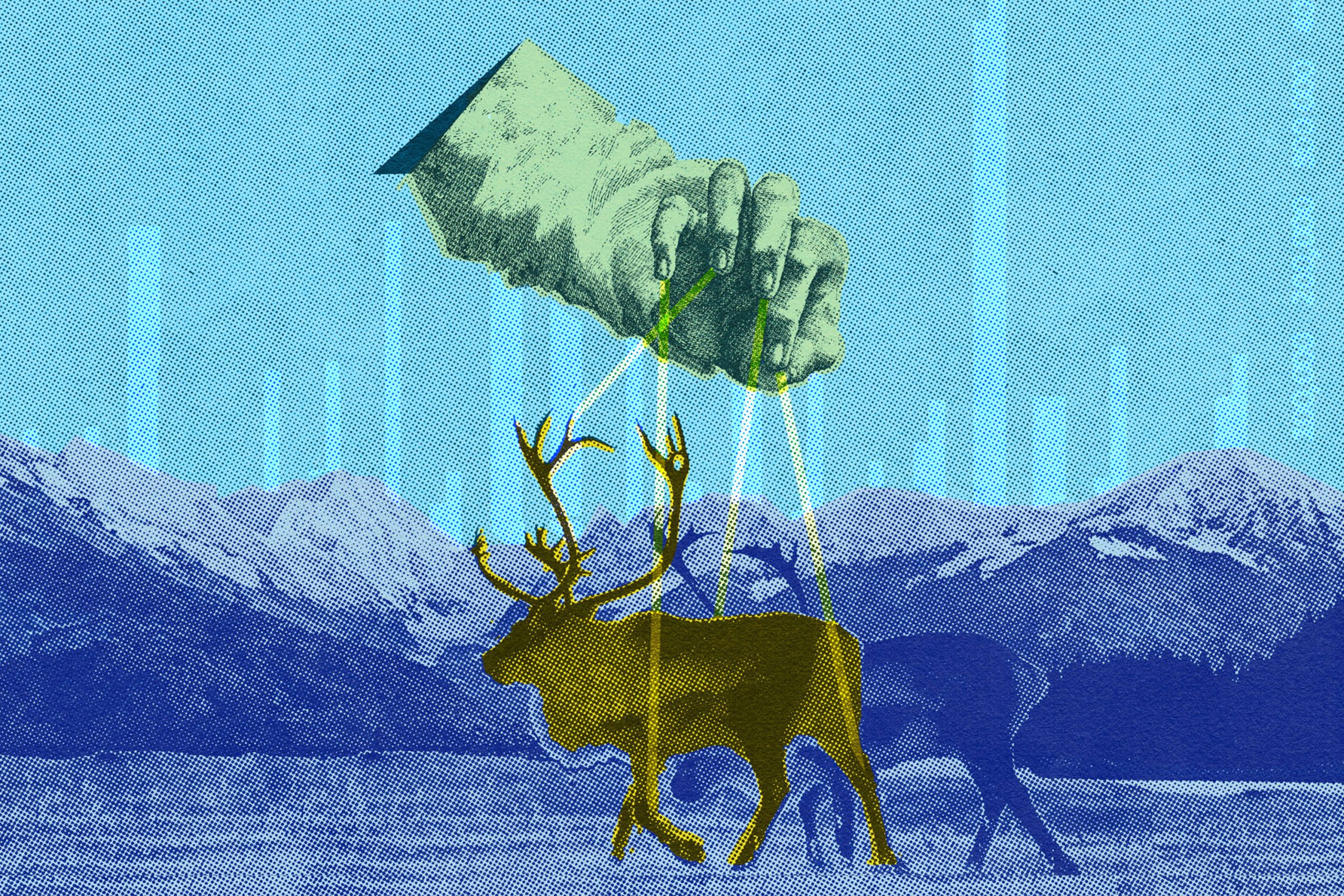 The mystery of wildlife and a world beyond our understanding - High Country News