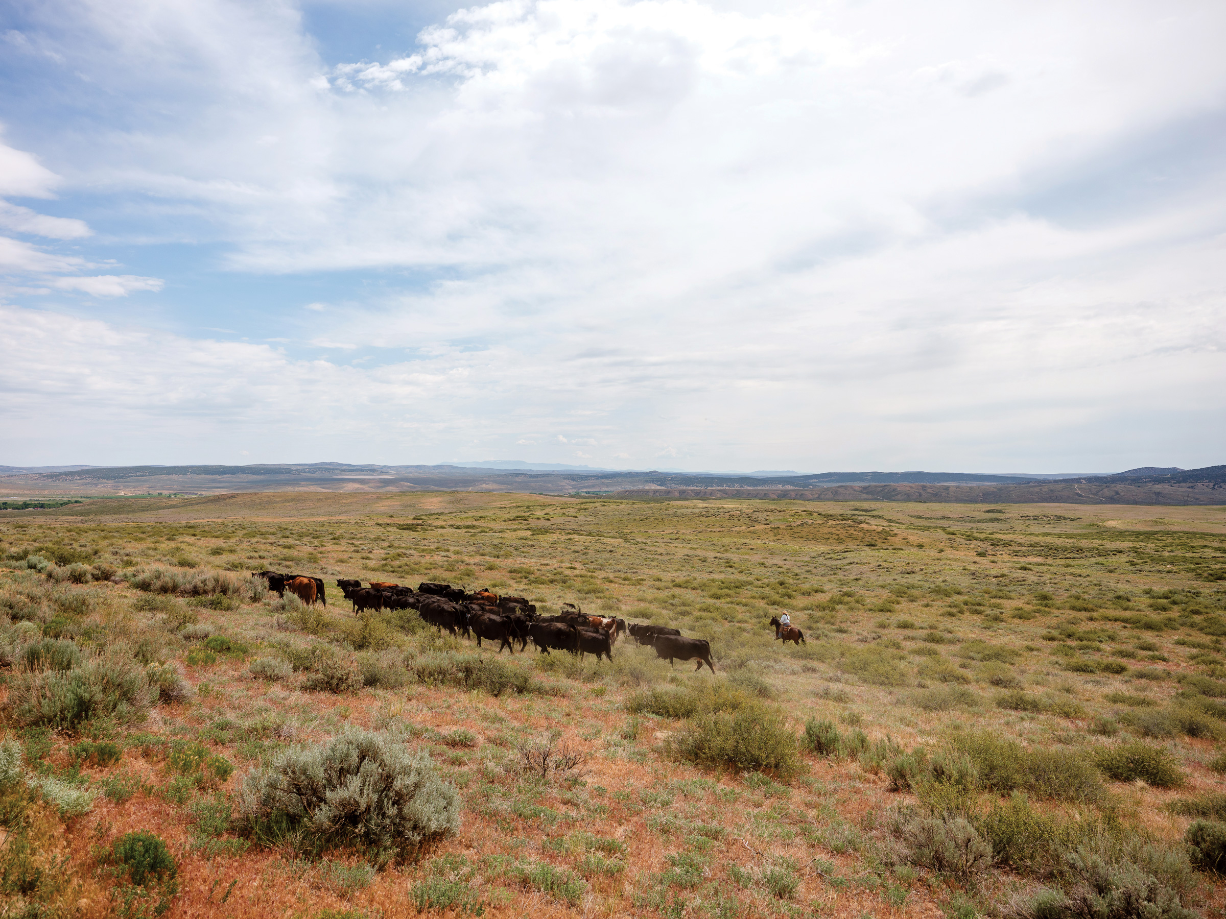 The wealthy profit from public lands, and taxpayers pick up the tab - High Country News