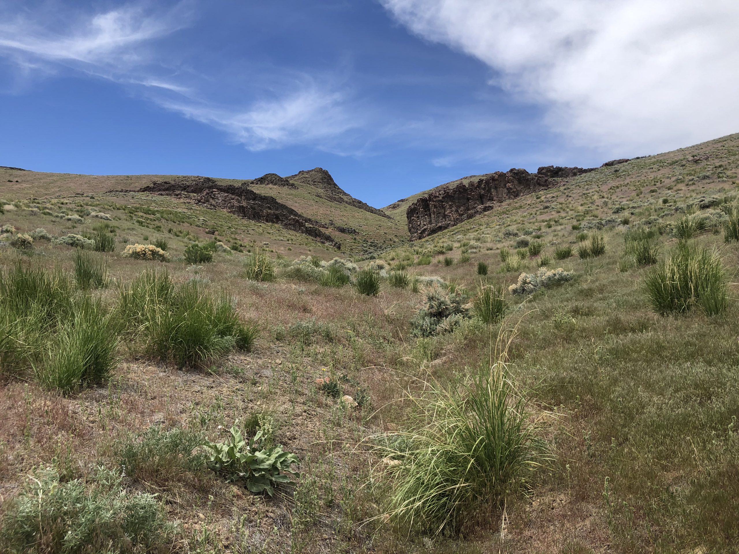 Top Interior Department official has ties to Thacker Pass lithium mine - High Country News