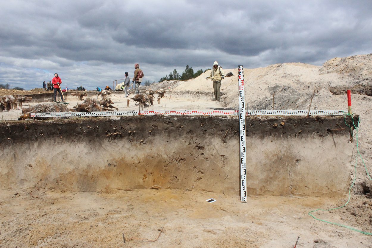 Archaeologists excavate traces of 10,000-year-old Mesolithic settlements