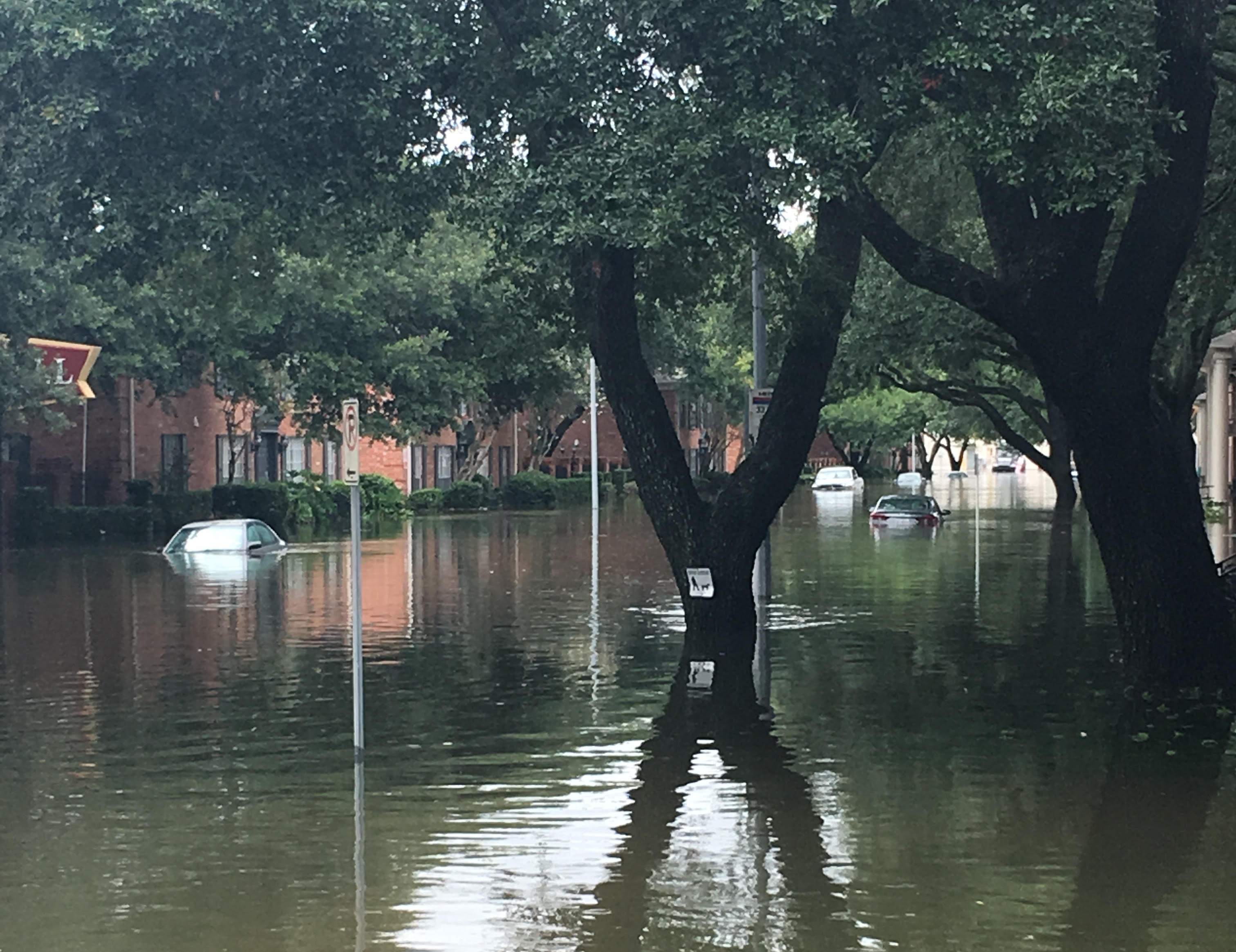 My City of Houston is Devastated, But My Faith in Humanity is Not - Hey Alma
