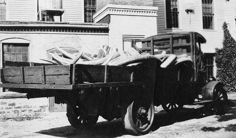 The Blood on the Keyboard — History News Network