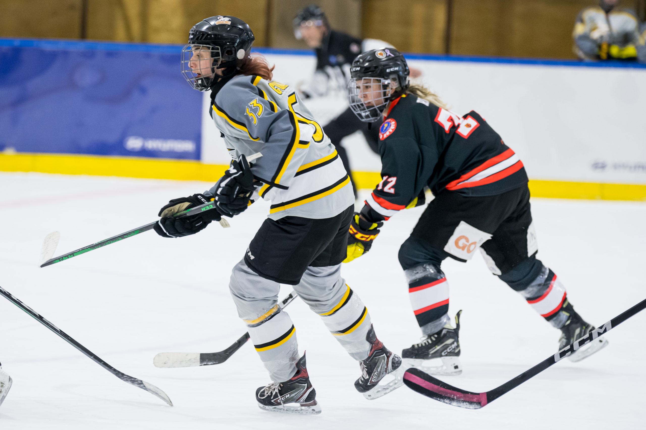 El SH Majadahonda se lleva el doble derbi madrileño de la Liga Iberdrola - Hockey Hielo Femenino