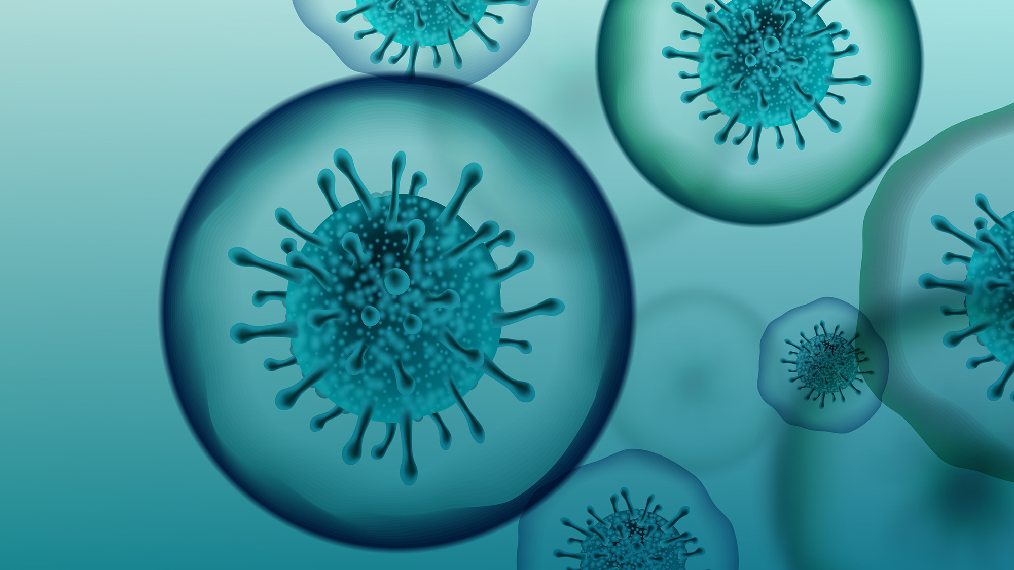 Frequently asked questions relating to coronavirus (COVID-19) and schools - Hawaiʻi State Teachers Association