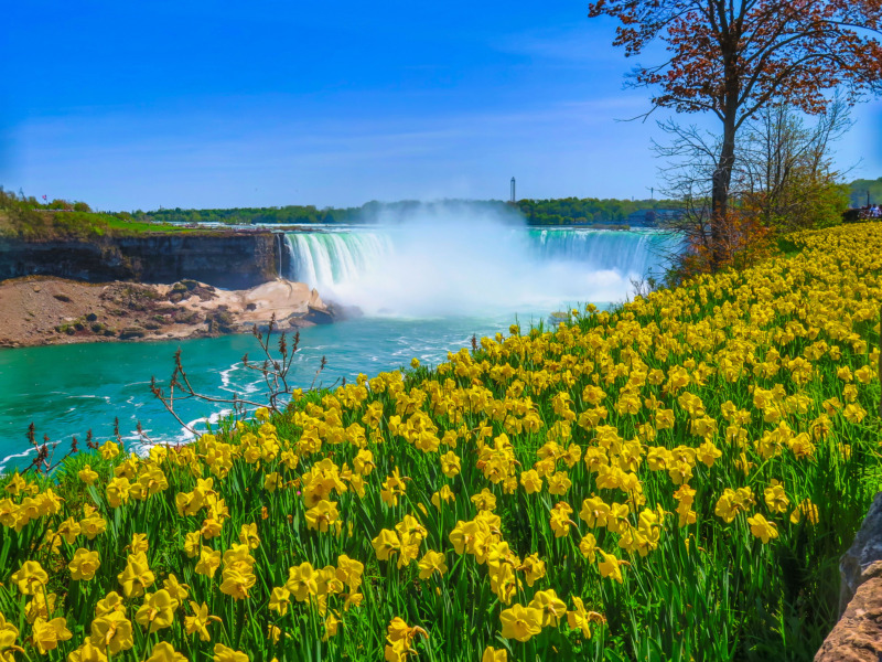 America's 250th Anniversary Road Trips | HTR Resorts