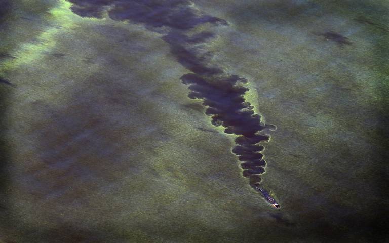 Blue-green algae linked to ALS in UM study, but researchers also found promising treatment - Herbert W. Hoover Foundation