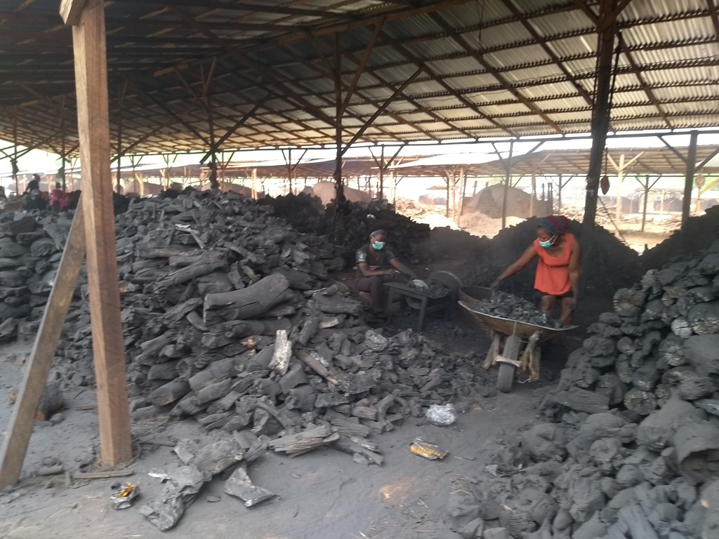 Unlicensed Chinese company overruns forests for wood charcoal