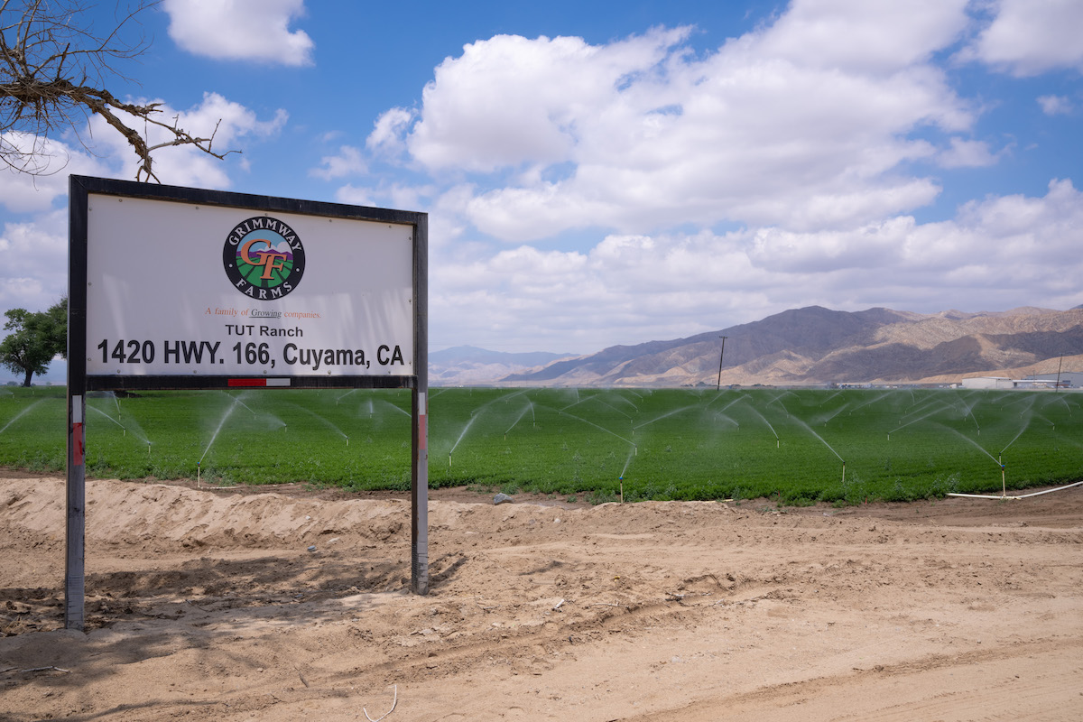 A Water War Is Underway in Santa Barbara County's Carrot Country - The Santa Barbara Independent