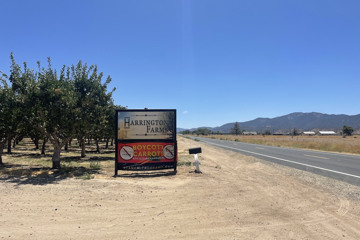 The Cuyama Valley Launches a Carrot Boycott - The Santa Barbara Independent