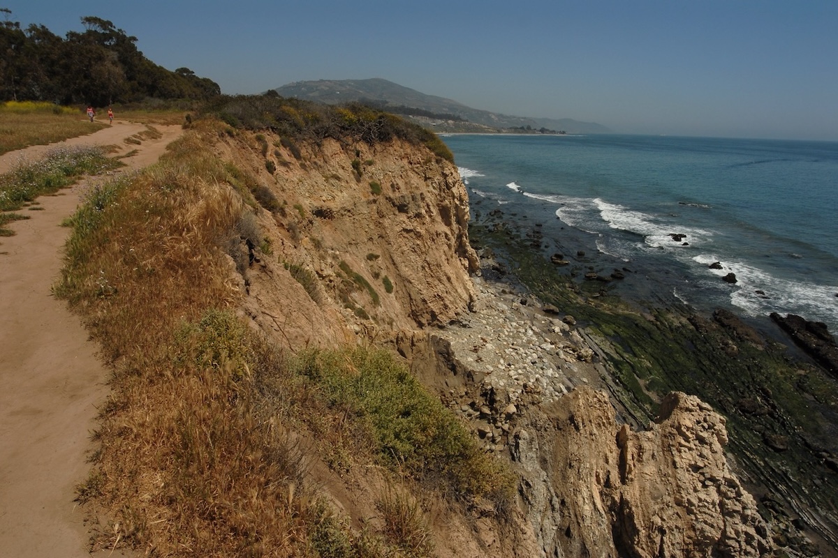 ‘Grass for Grass’: Santa Barbara County Board of Supervisors Approve Funding for Carp Bluffs Restoration - The Santa Barbara Independent