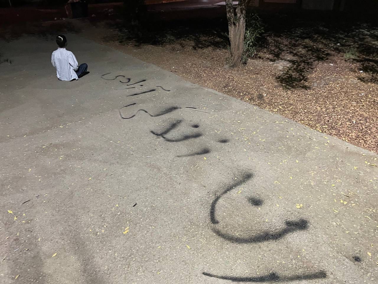 The secret graffiti grandma of Tehran - Index on Censorship