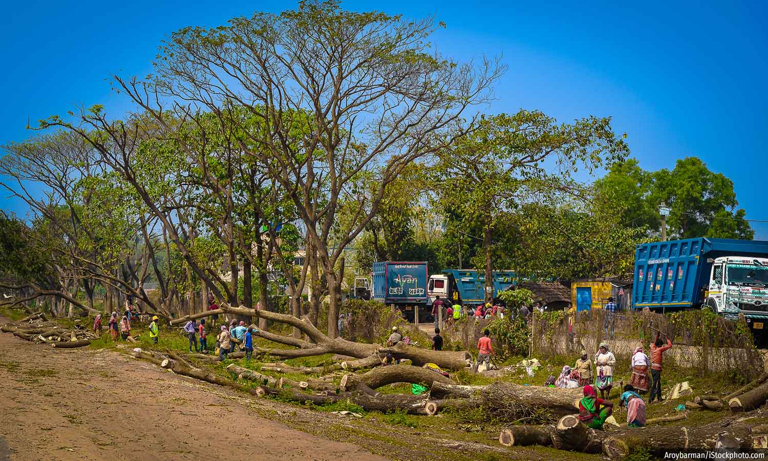 Weakened Forest, Biodiversity Laws Impact India’s Environment In 2023