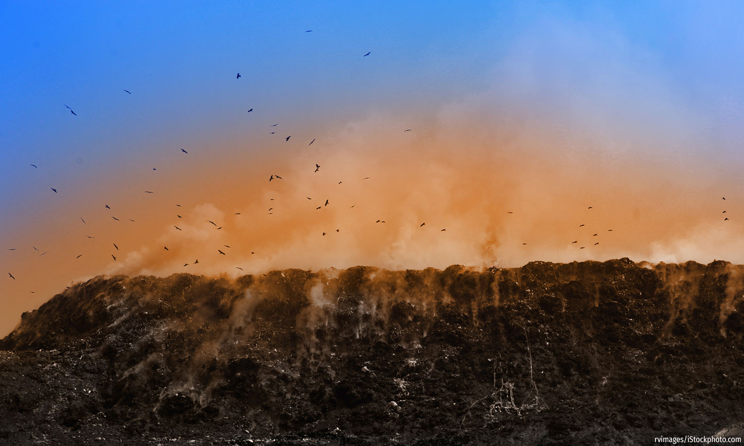 #DataViz: Over Half Of Delhi’s Garbage Ends Up In Landfills