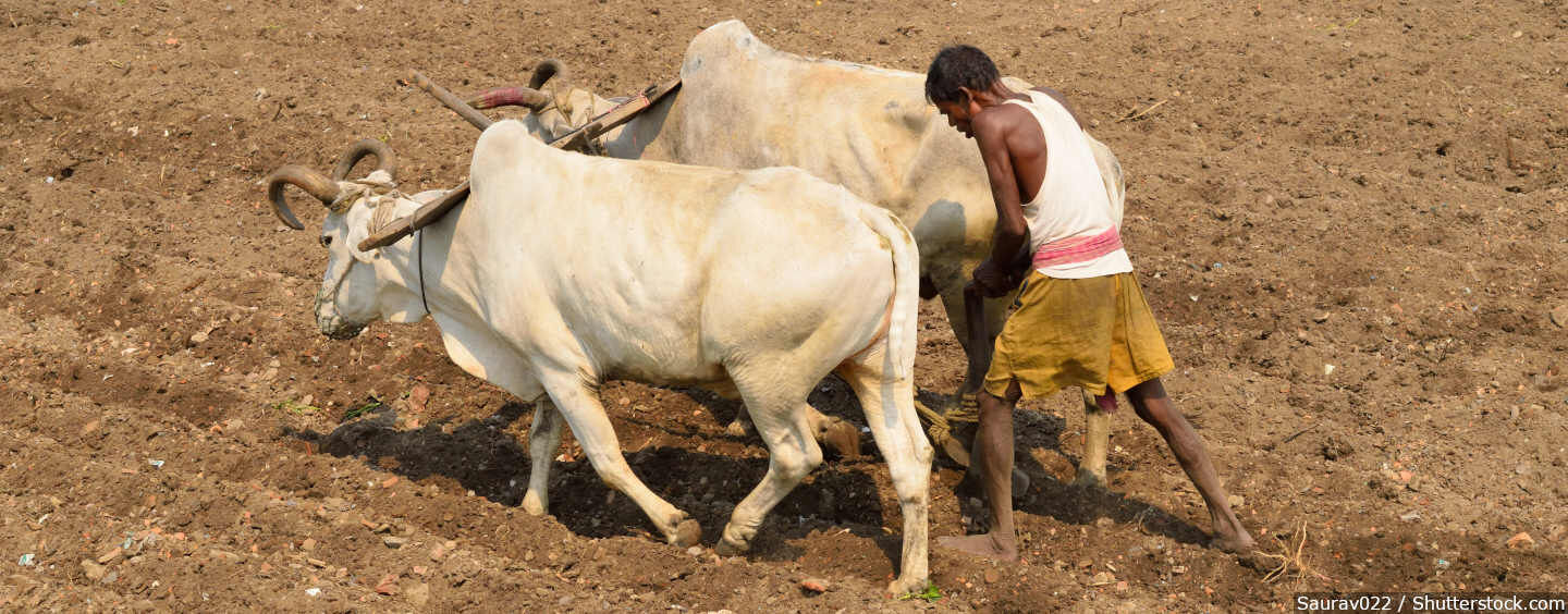 42% India’s Land Area Under Drought, Worsening Farm Distress In Election Year