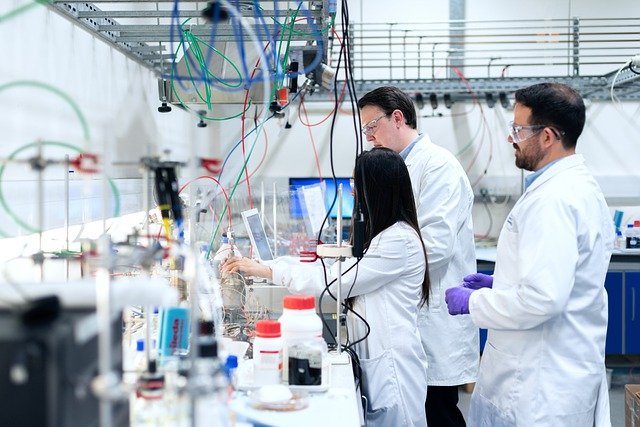 Il microbioma umano è altamente trasmissibile. Dalla scoperta importanti implicazioni per la nostra salute - insalutenews.it
