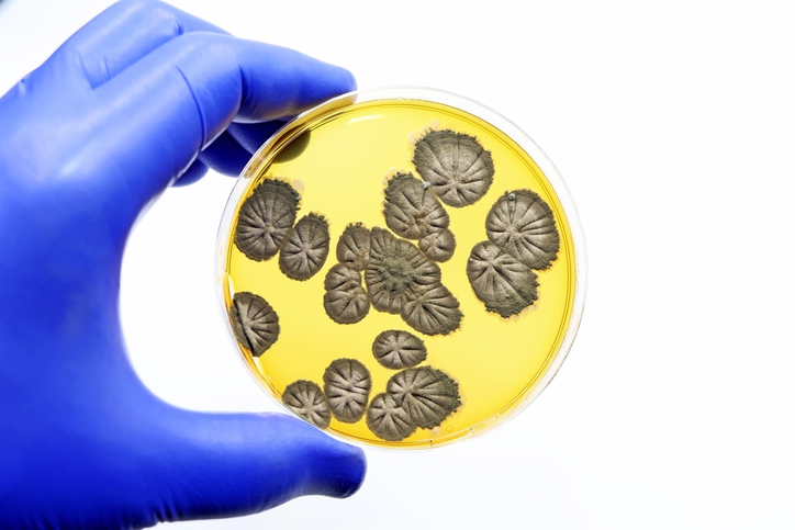 Blood Biomarker Signals Deadly Fungal Infection | Inside Precision Medicine