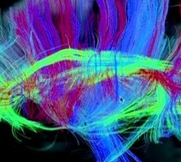 Dreaming, Consciousness and Virtual Reality - Interalia Magazine