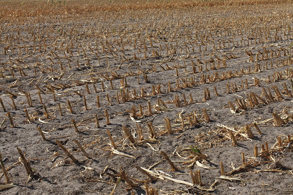 Global breadbasket countries' climate change crisis - Investment Monitor