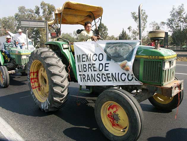 Mexico to Ban Glyphosate, GM Corn Presidential Decree Comes Despite Intense Pressure from Industry, U.S. Authorities | Inter Press Service