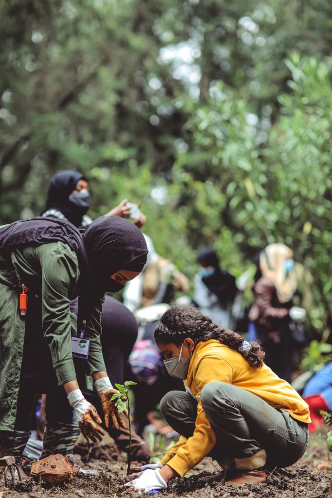 Nature-Based Solutions for Enhancing Coordinated Action Around Climate Change, Land and Biodiversity | Inter Press Service