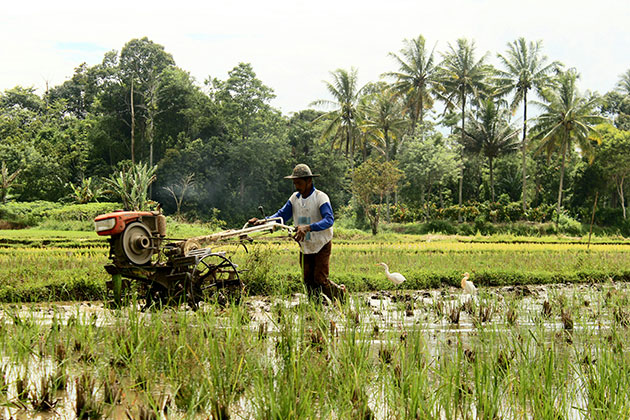 From Access to Action — Carbon Markets Can Turn Developing Countries’ Ambitions into Realities | Inter Press Service