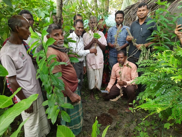 Climate Crisis Disrupts Sundarbans Community Festival, Prosperity | Inter Press Service