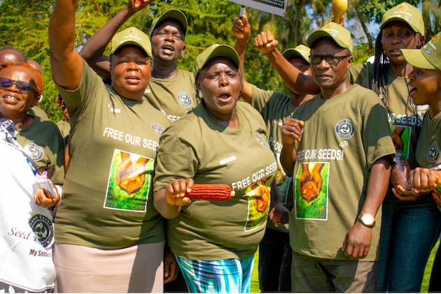 Kenyan Court Restores Seed Freedom With Landmark Ruling | Inter Press Service