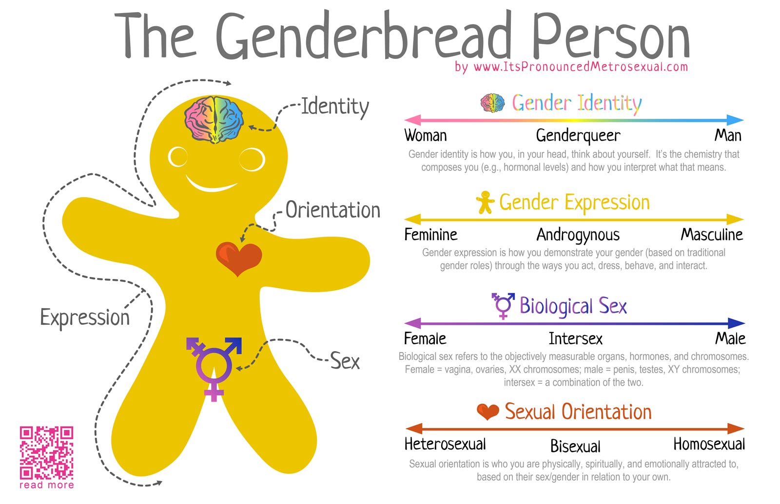 Breaking through the binary: Gender explained using continuums - ❤ It's Pronounced Metrosexual