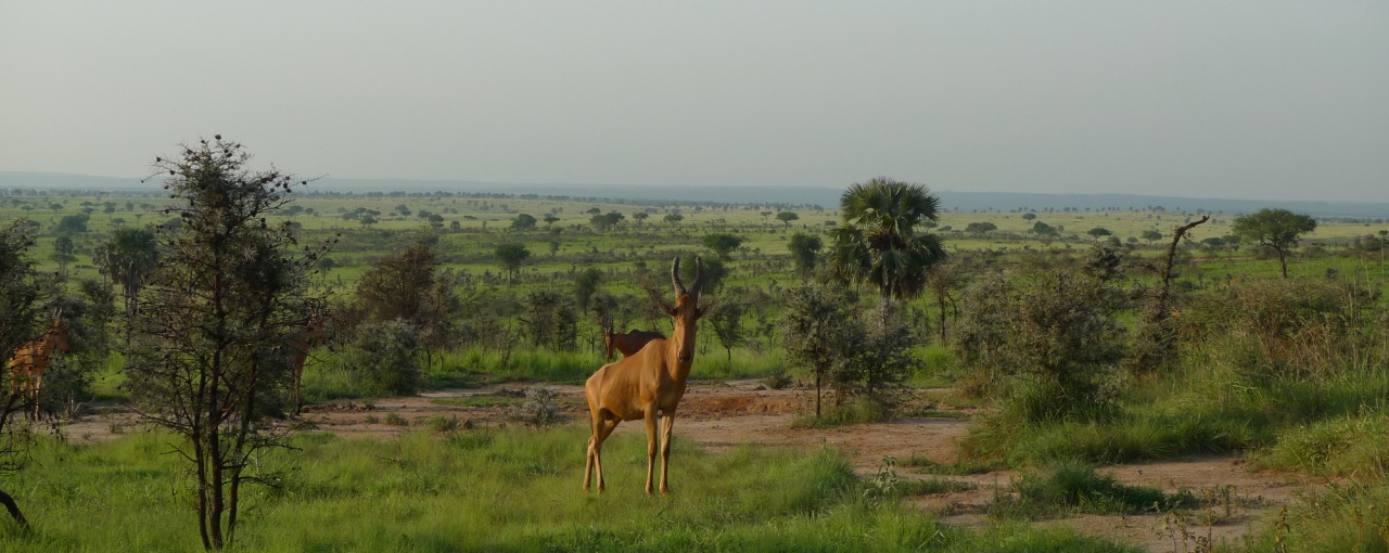 Joining forces to protect eco-sensitive regions from oil companies | IUCN NL