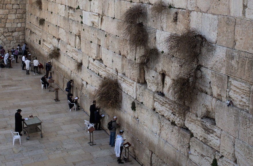 Israel freezes Western Wall compromise that was to create egalitarian prayer section - Jewish Telegraphic Agency