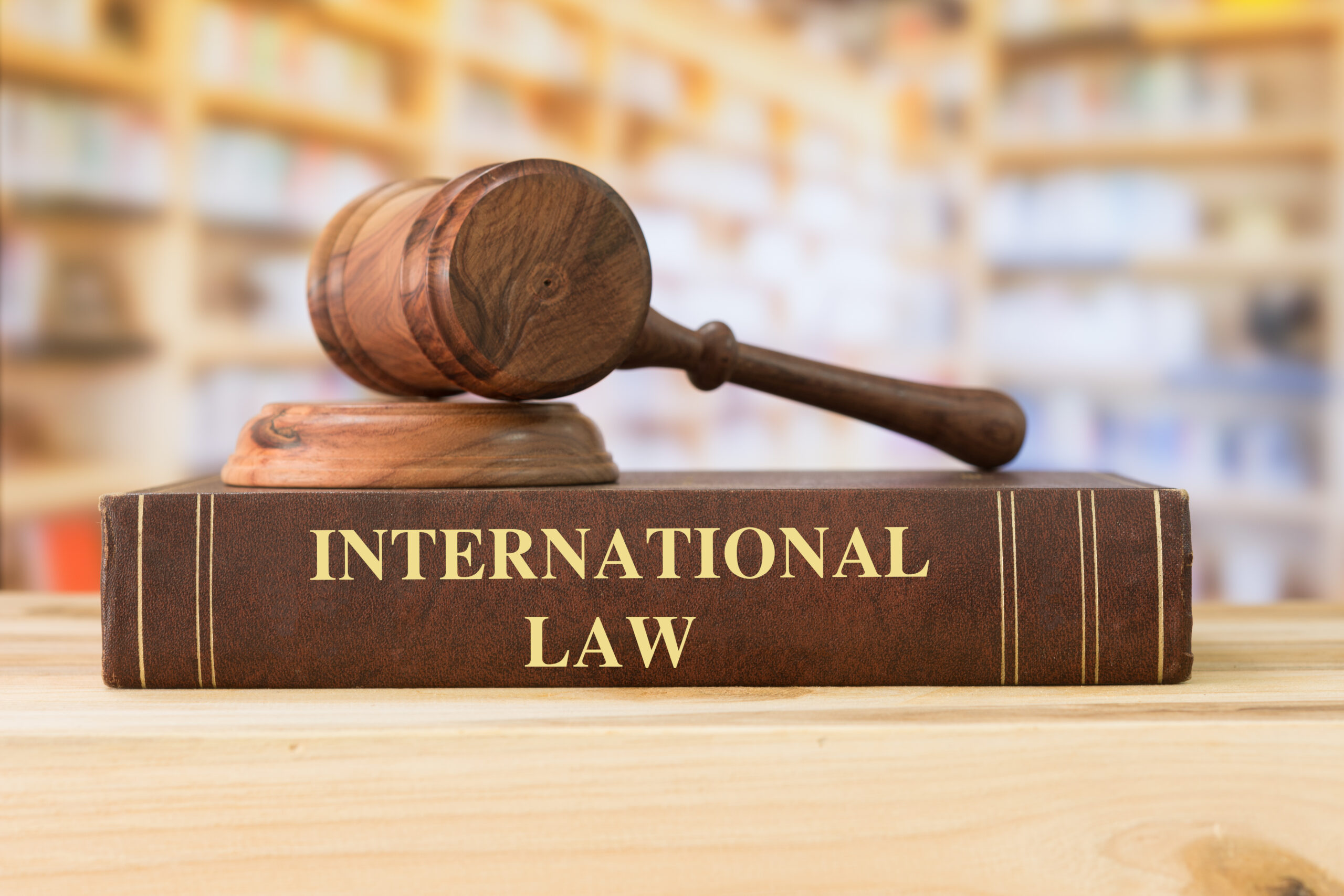 Accounting for Civilian Institutions of Armed Non-State Actors