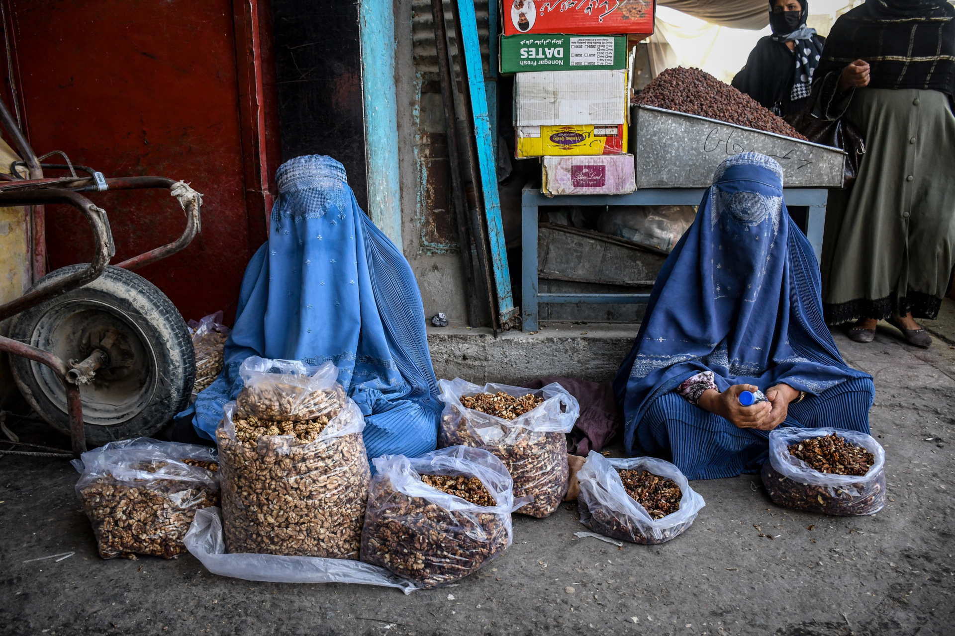 Why the World Must Act on Afghanistan